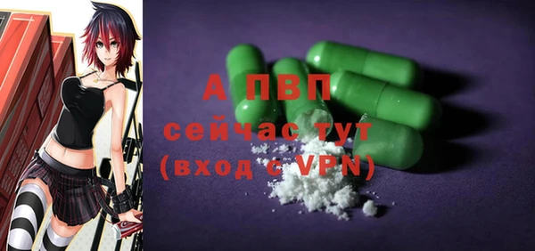 твердый Абаза
