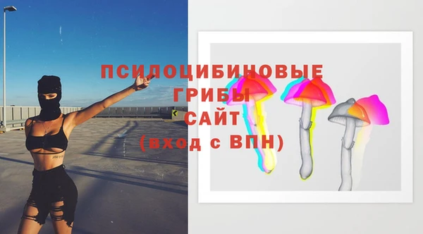 a pvp Арсеньев
