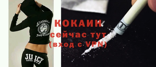 твердый Абаза