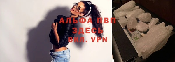 спиды Алзамай