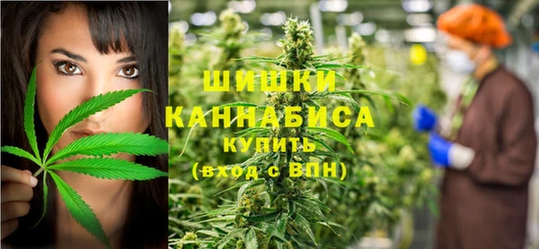 спиды Алзамай