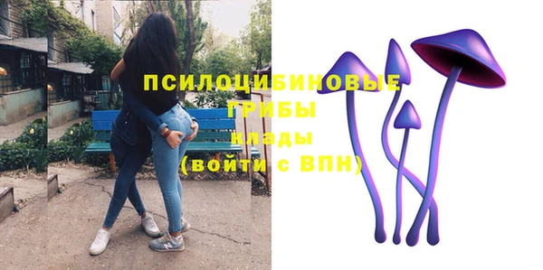 спиды Алзамай