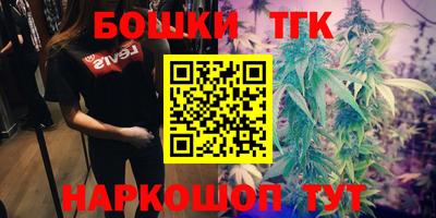 гашик Славгород